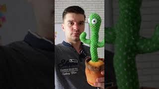 Танцующий говорящий кактус. Игрушка повторюшка. Dancing cactus #Shorts