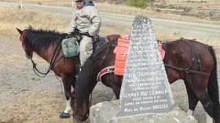 A New Zealand horse trek