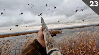 DUCK HUNTING A Huge Public Land MALLARD ROOST (Limited Out)