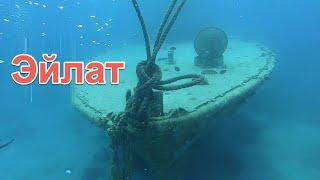 Погружение под воду с аквалангом к коралловому рифу в Красном Море, Эйлат