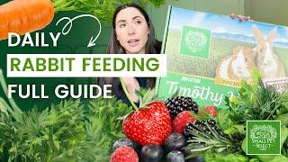 What To Feed Your Rabbit Everyday (A Rabbit Food & Diet Guide)