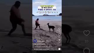 알수없는 알고리즘