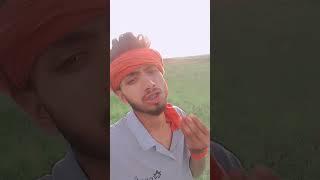dil#pagla#roi#anoop#yadav#funny#comedy