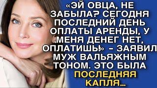 «ЭЙ ОВЦА, НЕ ЗАБЫЛА? СЕГОДНЯ ПОСЛЕДНИЙ ДЕНЬ ОПЛАТЫ АРЕНДЫ, У МЕНЯ ДЕНЕГ НЕТ, ОПЛАТИШЬ!» - ЗАЯВИЛ МУЖ