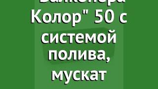 Кашпо Балконера Колор 50 с системой полива, мускат (Lechuza) обзор 15674