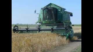 Agrofamily KFT 2011