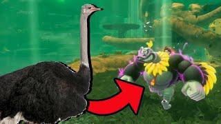 Donkey Kong Is An Ostrich Now
