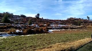 Kullu Snow fall in farm lands