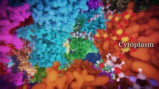 All-atom Molecular Dynamics Simulation of the Bacterial Cytoplasm