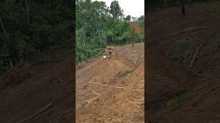 Bulldozer operator expertise makes the plantation core #bulldozer #catd6rxl  #heavyequipment