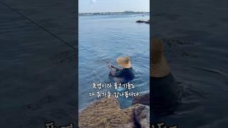 폭염을 이기는 방법