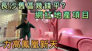 【灣區博士沈永年｜抹不黑的中國｜長沙篇3集】長沙舊區幾錢平？｜網紅地產項目｜力高鳳鳯新天