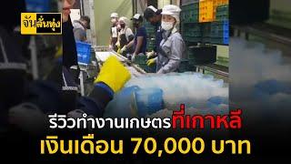 รีวิวทำงานเกษตรที่เกาหลี เงินเดือน 70,000 บาท | จันลั่นทุ่ง