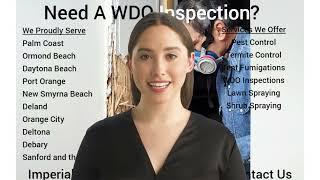 What IS A WDO Inspection?