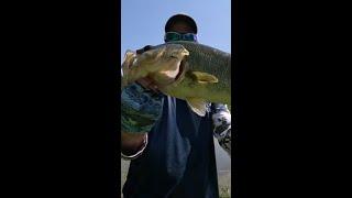 Biggest ONE YET #fishing #bass #youtubeshorts #youtube #fish