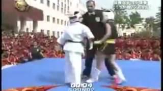 극진공수도 VS 소림권 산타(Kyokushin karate vs Kung fu)