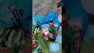 рыбалка природа лето шашлык #шашлык #еда #рыбалка #рыба #природа #лето