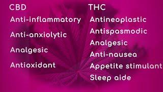 Benefits of CBD & THC