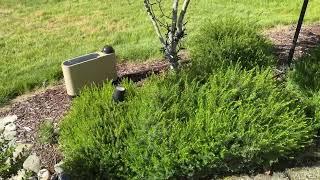 ⁠OtO Update - Smart Sprinkler from OtO Lawn +  Discount Code!