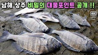 비밀의 대물 감성돔 포인트 공개~! 남해 상주 갯바위 감성돔낚시, 남해군에서 가장 아름다운 가족  갯바위포인트, 대량 오시다호, 남해 오시다호, Black Porgy Fishing