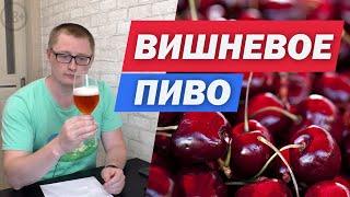 Вишневое пиво. Рецепт и дегустация вкусного вишневого эля в домашних условиях на ПВК Эльбрус.