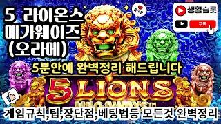 [슬롯] 맥스윈 제일 잘 나오는 슬롯인 5 라이온스 메가웨이즈 (오라메)  5분안애 완벽 정리 해드리겠습니다.