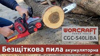 Акумуляторна безщіткова пила ланцюгова WORCRAFT CGC-S40LiBA. Демонстрація роботи