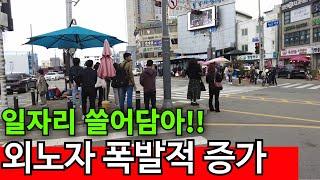 서울 외곽부터 외국인 장악 | 직접보세요!