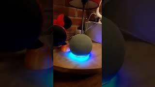 #Alexa se enoja conmigo  jajaja  #comedia #shorts #humor #googlehome