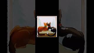Smudge perspective.. || #sad #edit #warriorcats @Cloudy-Editz