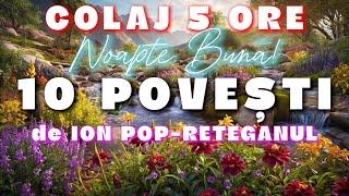 POVESTI DE ION POP-RETEGANUL | COLAJ | 10 POVESTI | 5 ORE | 2024