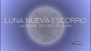 LUNA NUEVA ESCORPIO - Noche Oscura, Conciencia Clara - Para cada signo de Sol o Ascendente