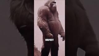 Family of Bigfoot wiped out?! #bigfoot #cryptid #mystery