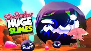 Making Slimes as BIG AS THE ISLAND! - Slime Rancher