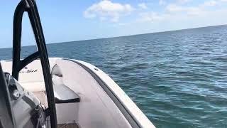 Nor-Tech 340 Sport