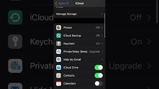 iPhone contacts export/backup | save contacts | artist 2M