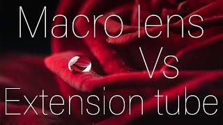 Macro lens Vs extension tubes: Which is better?