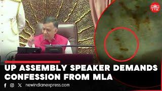 "I've seen him": UP Speaker slams MLA for spitting 'pan masala' in Assembly