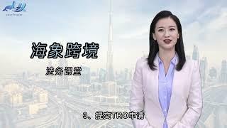 防止抄袭并申请TRO：亚马逊商家版权保护Prevent Copying & Apply for TRO: Copyright Protection for Amazon Sellers