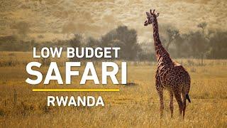 Low Budget Safari in 24h | Akagera Park Rwanda