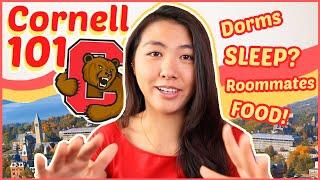 EVERYTHING to know about Cornell University (for Prospective Students + Freshmen!) | Katie Tracy