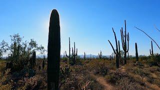 Saguaro National Park - West Section