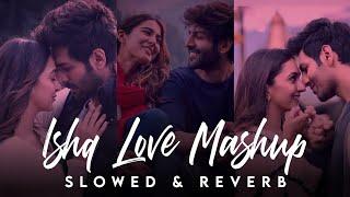 Ishq Love Lofi Mashup 2024 | Trending Lofi Love Mashup | Copy Unlimited