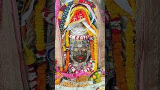 Jai shree mahakaal ujjain live darshan mahashivratri  #mahakal #mahakumbh2025