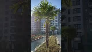 Avrupa Konutlari Istanbul Apartments