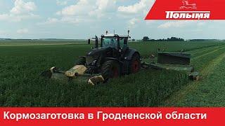 Заготовка кормов техникой Krone на полях Гродненской области