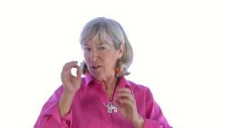 Pet X Talks Meg Harrison Flower Essences Natural Remedies For Pet Issues