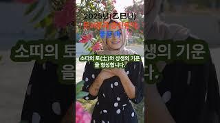 2025년(을사년)에 문서운과 승진운이 좋은 띠