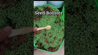 seed Booster #gardeningtipsandtricks #shortsyoutube #youtubeshorts