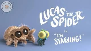 Örümcek Lucas I Lucas the Spider (All Episodes)